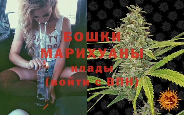 прущие грибы Арсеньев