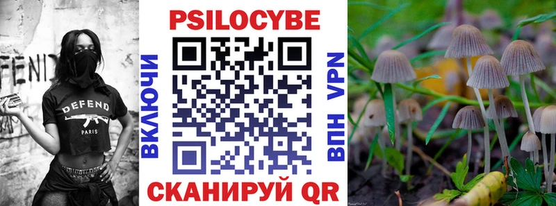 Псилоцибиновые грибы мицелий  Купить закладки  Сычёвка 